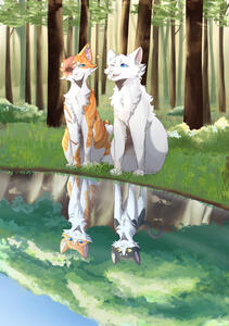 Fanart Warriors Cloudtail and Brightheart